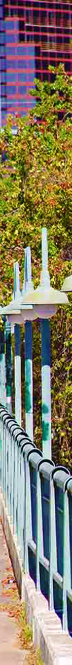 Multidisciplinary Artist Photos