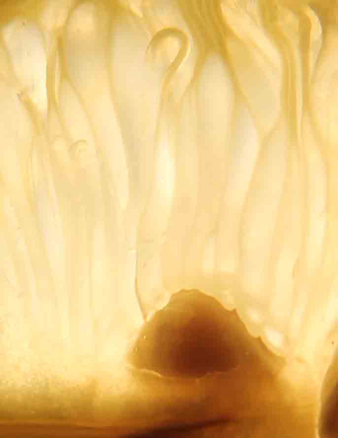 Multidisciplinary Examples