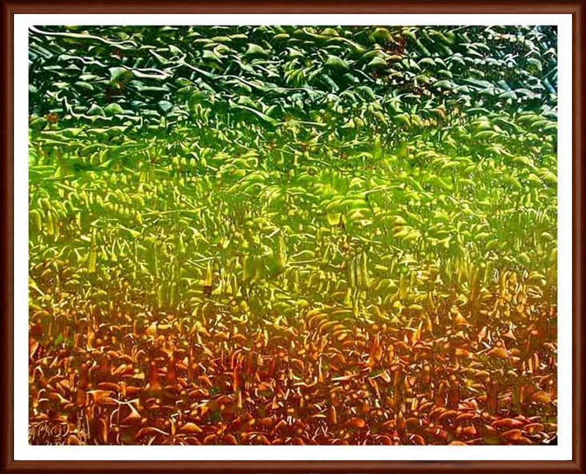 Multidimensional & Multidisciplinary Artist