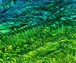 Multidisciplinary & Multidimensional